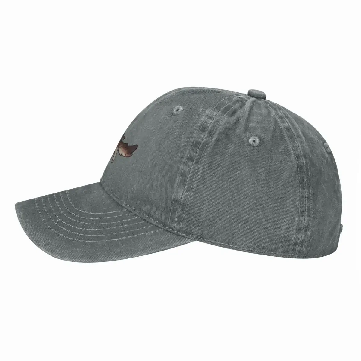 Adventure pup Baseball Cap New - Outdoor Adventure Golf recension och pris